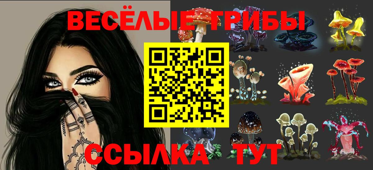 Мурманск  Псилоцибиновые грибы мицелий  Вход с VPN  Галлюциногенные грибы мицелий 